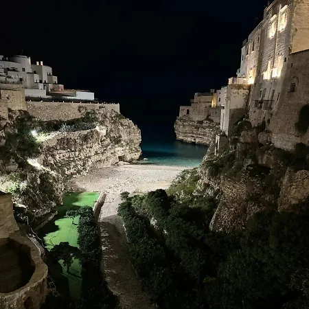 Antico Gelso *