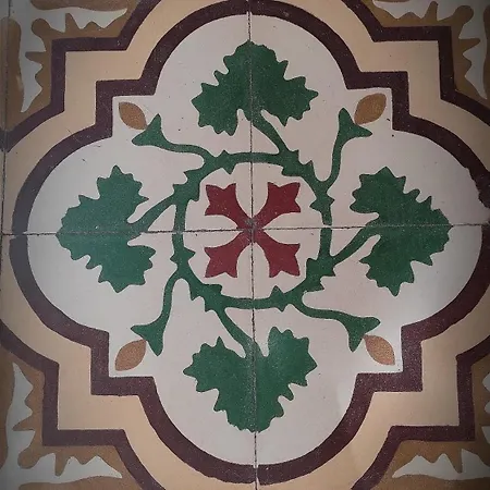 Antico Gelso *