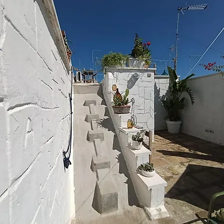 Antico Gelso Polignano a Mare