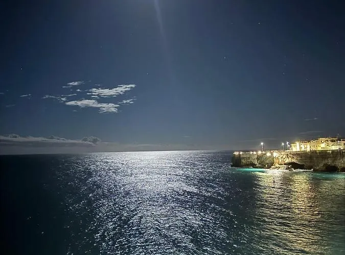 Antico Gelso * 폴리나노 아마레