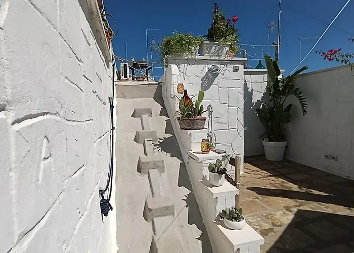 Antico Gelso Polignano a Mare